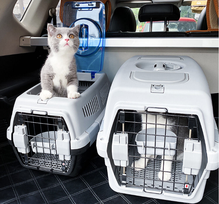 Transporting Pets Domestically and Important Considerations